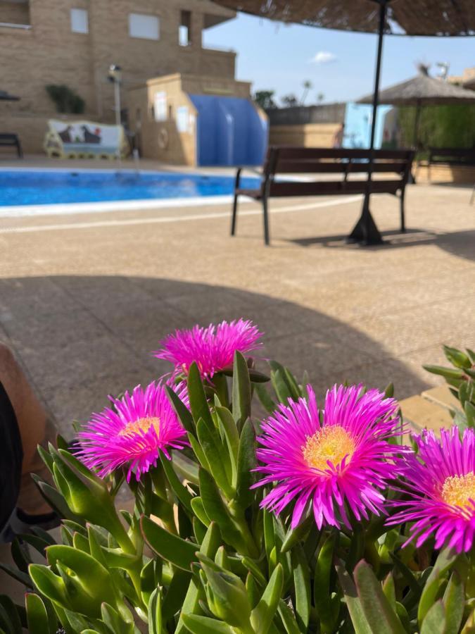 אורופסה דל מר Apartamento Zona Marinador, Cerca A La Playa מראה חיצוני תמונה